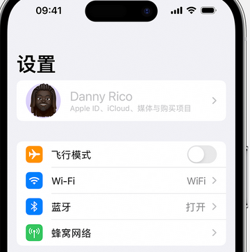 大石桥appleID维修服务iPhone设置中Apple ID显示为灰色无法使用 