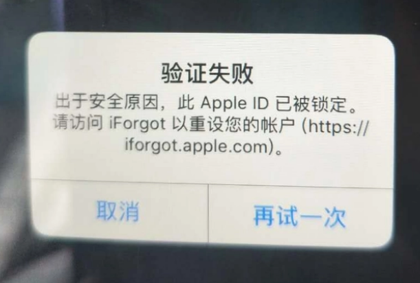 大石桥iPhone维修分享iPhone上正常登录或使用AppleID怎么办 