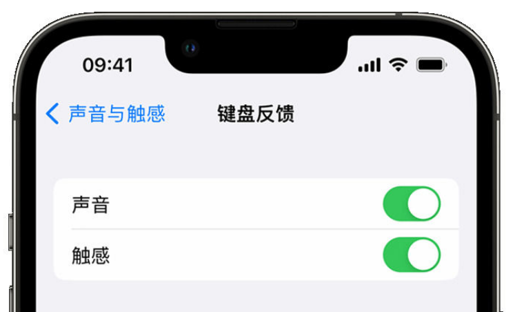 大石桥苹果手机维修分享iPhone 14触感键盘使用方法 