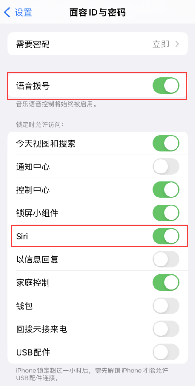 大石桥苹果维修网点分享不解锁 iPhone 的情况下通过 Siri 拨打电话的方法 