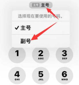 大石桥苹果14维修店分享iPhone 14 Pro Max使用副卡打电话的方法 