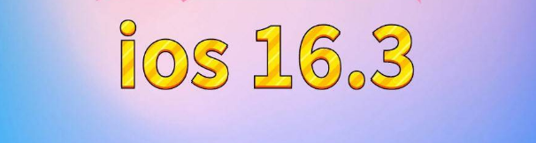 大石桥苹果服务网点分享苹果iOS16.3升级反馈汇总 