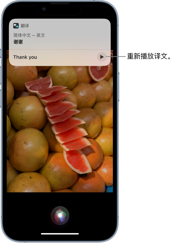 大石桥苹果14维修分享 iPhone 14 机型中使用 Siri：了解 Siri 能帮你做什么 