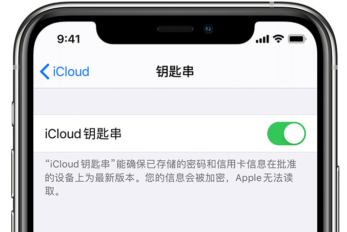 大石桥苹果手机维修分享在 iPhone 上开启 iCloud 钥匙串之后会储存哪些信息 